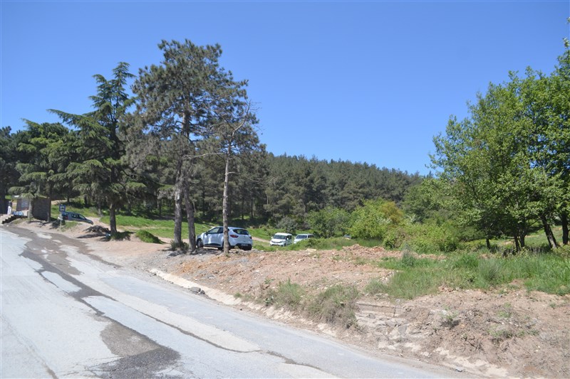 BU ALANA MUTLAKA SPOR TESİSLERİ YAPILMALI