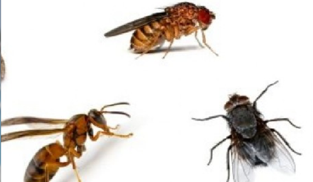 KADİR KÜÇÜKAY YAZIYOR